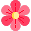 Flor